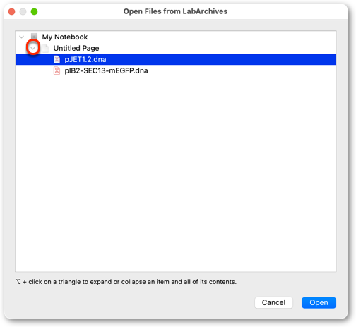 Select Files to Open